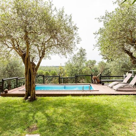 Villa Villacolle Massarosa Esterno foto