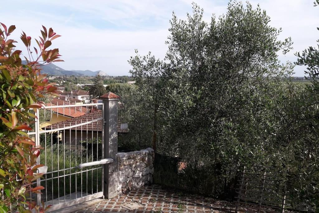 Villa Villacolle Massarosa Esterno foto