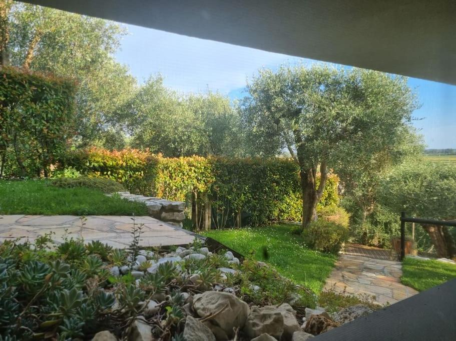 Villa Villacolle Massarosa Esterno foto